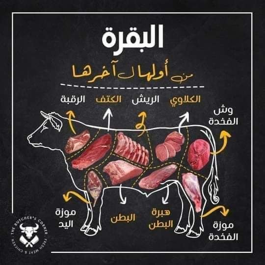 لحم كندوز طازة